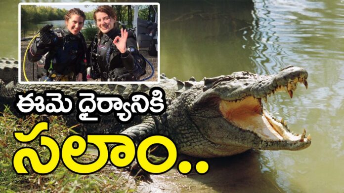 Georgia Melissa Crocodile Attack