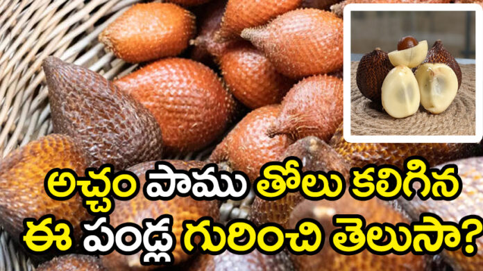 Snake Fruit final