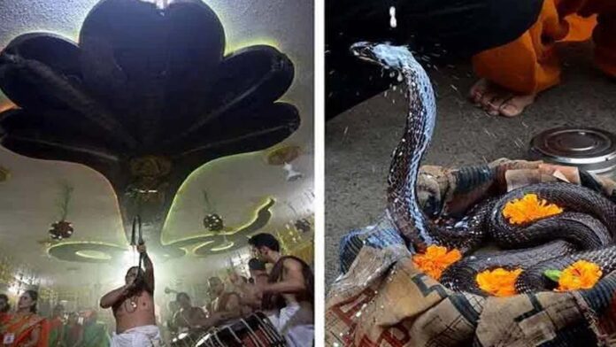 Soil should not be dug on Naga Panchami day