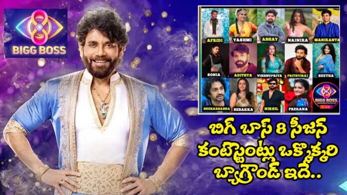 Big boss 8 season Contestants Personal Life