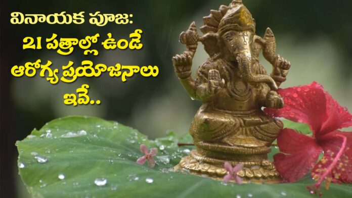 These 21 leaves are Health benefits while use Vinayaka pooja copy