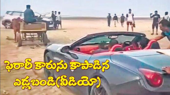 bullock-cart-saves-Ferrari-car-in-mumbai-beach-video-goes-viral
