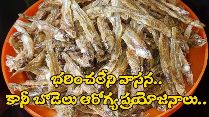What is the Dry Fish Health Benefits