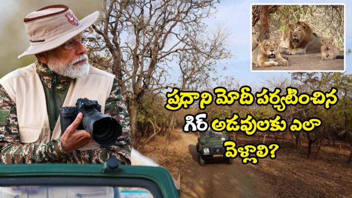 Gir Wildlife History And Tour When Narendra Modi Tour SafariGir Wildlife History And Tour When Narendra Modi Tour Safari