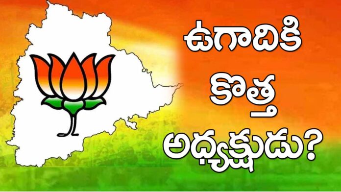 Telangana Bjp State President