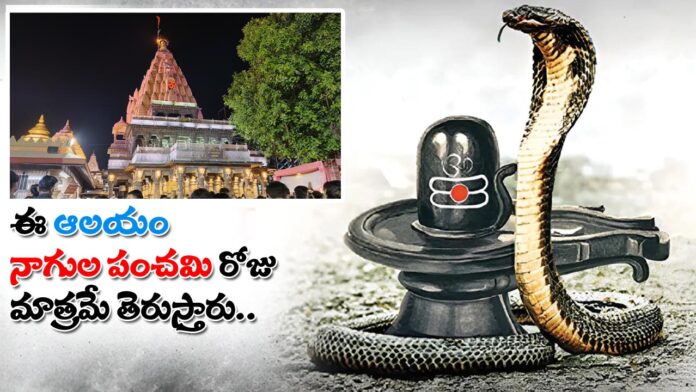 Ujjaini Mahakaleswar Nagendra swamy Temple Open in Nagula Panchami