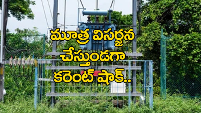 A Man Dies At Power Transformer As Urination In Surya Peta District
