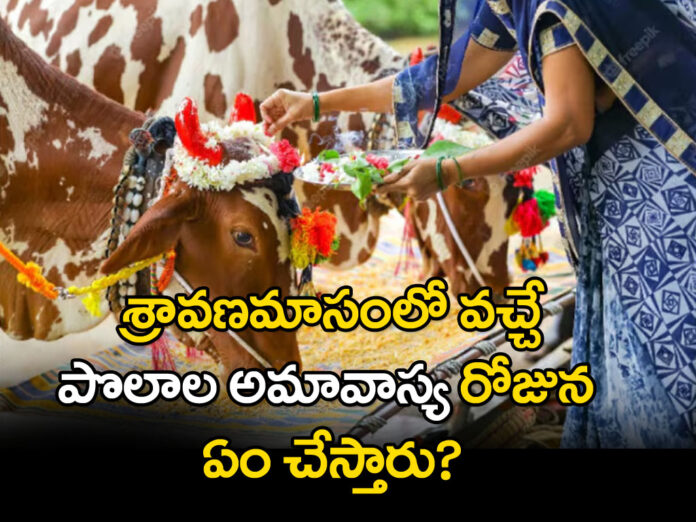 What is the Polaala Amavasya. What do you do today