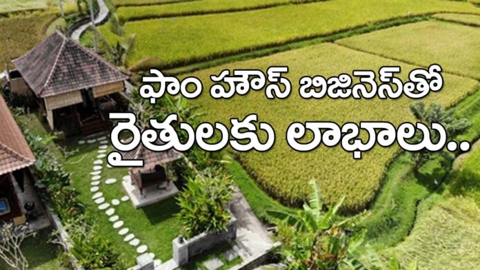 How to Plan Farmhouse business for Farmers