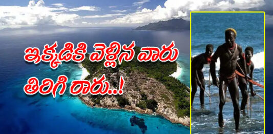 What is the Mystery of North Sentinel Iceland copy