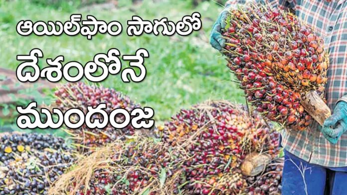 Telangana is making strides in oil farming. the highest in the country