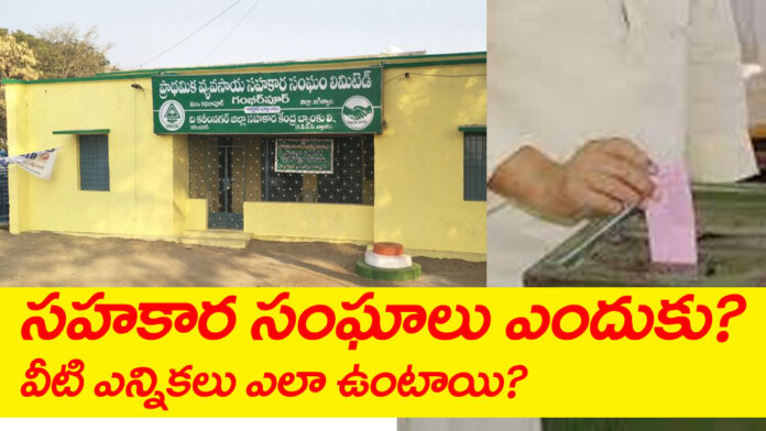 How are cooperative society elections conducted