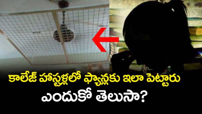 Iron Grill for ceiling Fan in College Hostel