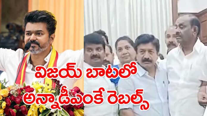 aiadmk-split-vijay-tvk-support-reasons