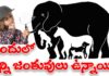 Challenge eyesight: 10 సెకన్లలో 6 జంతువులను గుర్తించగలరా..? challenge eyesight in 10 seconds