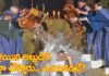 Japan Marriage Traditional: ఇక్కడి కొత్త అల్లుడికి ఈ కఠిన పరీక్ష.. ఇది తట్టుకుంటేనే.. A tough test Japan Marriage Traditional involving cold water awaits a new son-in-law in Japan here's why