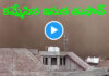 Rajasthan Churu Sandstorm: రాజస్థాన్ను కమ్మేసిన ఇసుక తుఫాన్: చీకటిమయమైన చురు నగరం.. Rajasthan Churu Sandstorm