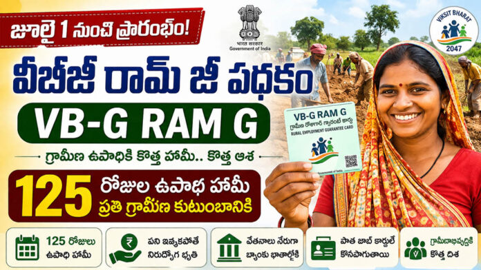 How to Pay Salary in vbgramg scheme