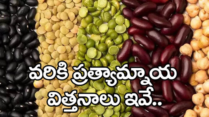 Sales of seeds for alternative crops to paddy begin today