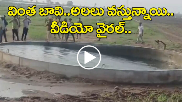 Gujarat Morbi Shaking Well Video Viral