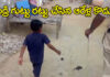 Nellore Six Year Old Boy News: ‘మీరు వస్తున్నారని మా నాన్న బండిని దాచిపెట్టారు’.. పోలీసులకు ఆరేళ్ల బాలుడి నిజాయితీ షాక్ Nellore Six Year Old Boy News