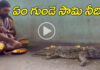 Priest performs puja for Rains: వర్షాల కోసం పూజలు.. వీడియో చూస్తే షాక్ అవుతారు.. Priest performs puja to a crocodile for rains; video goes viral..